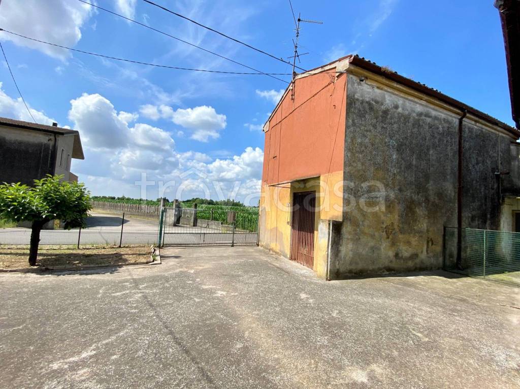 immagine annuncio 8 di 12