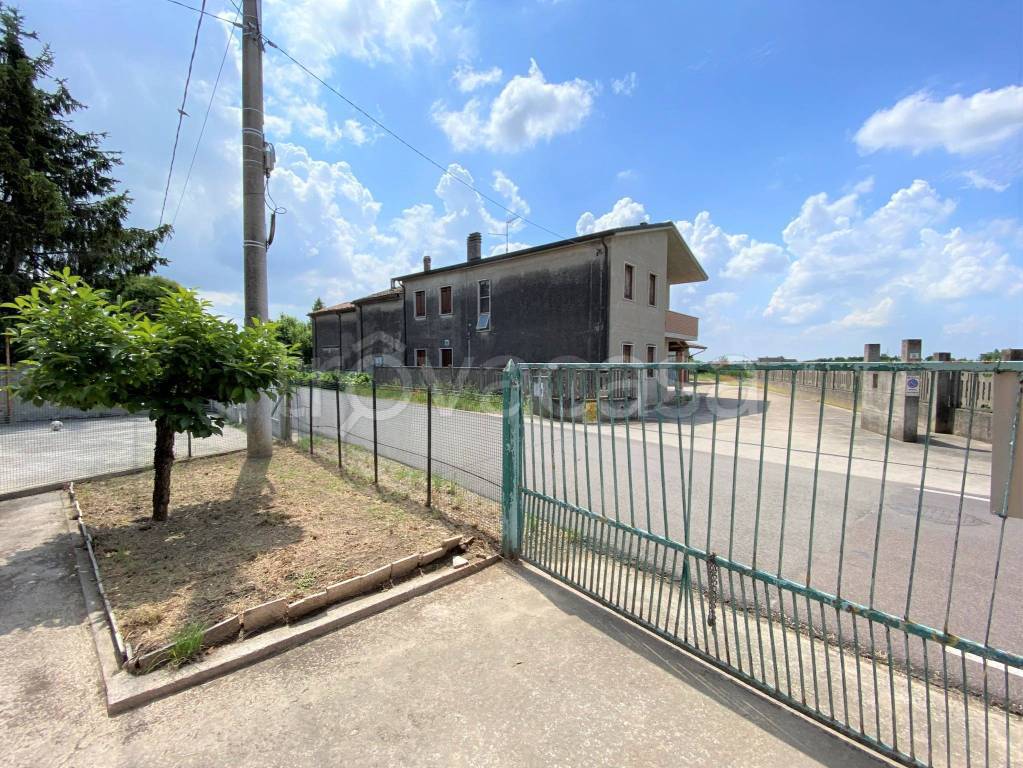 immagine annuncio 11 di 12