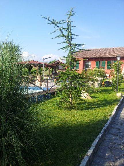 immagine annuncio 3 di 8