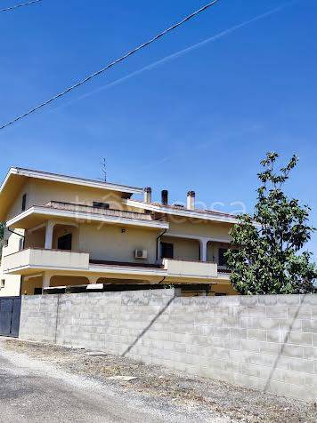 immagine annuncio 4 di 14