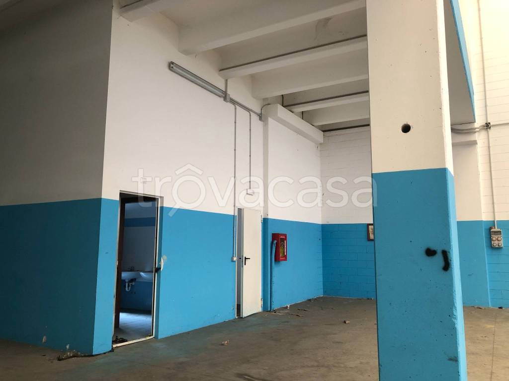 immagine annuncio 5 di 13