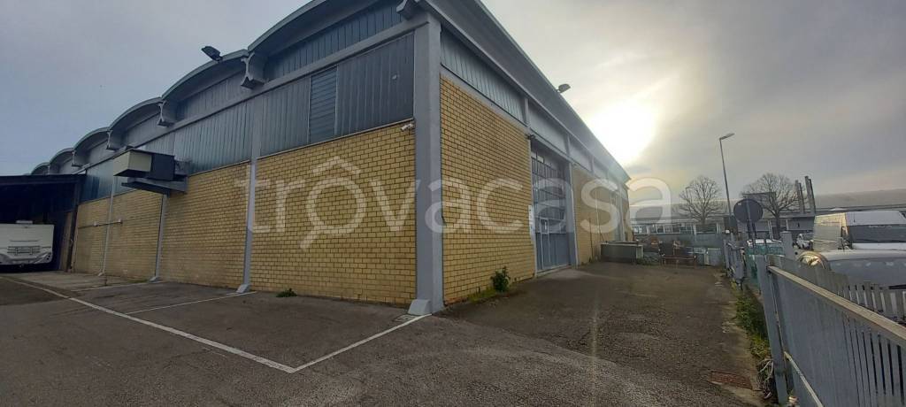 immagine annuncio 1 di 10