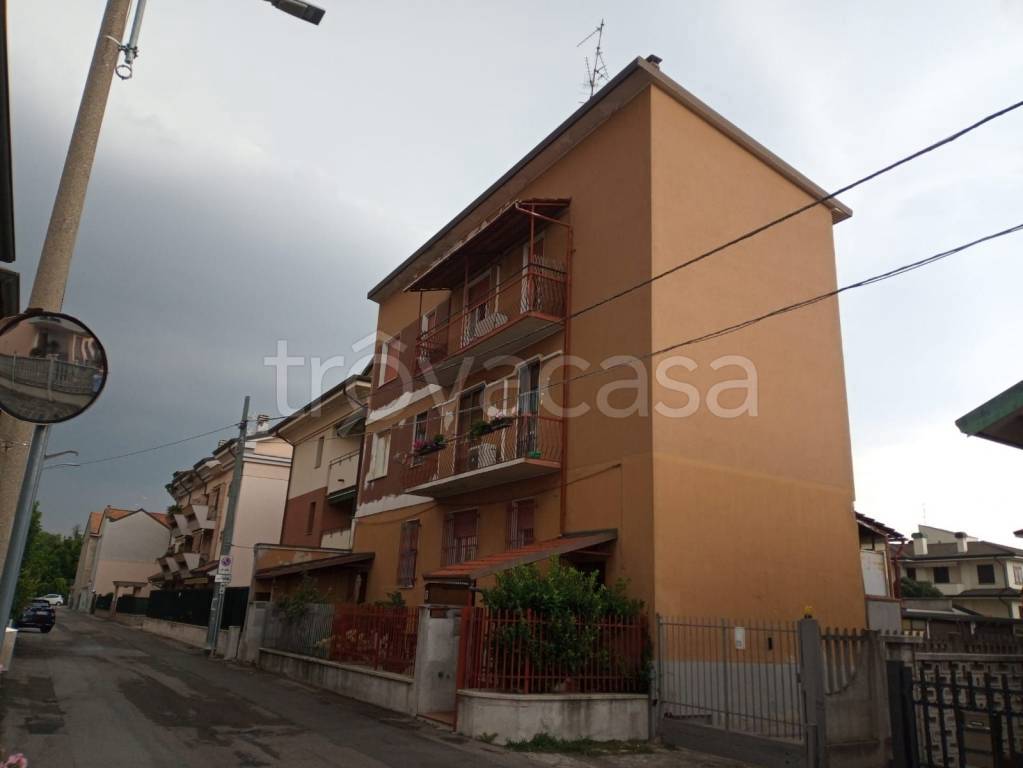 immagine annuncio 3 di 15