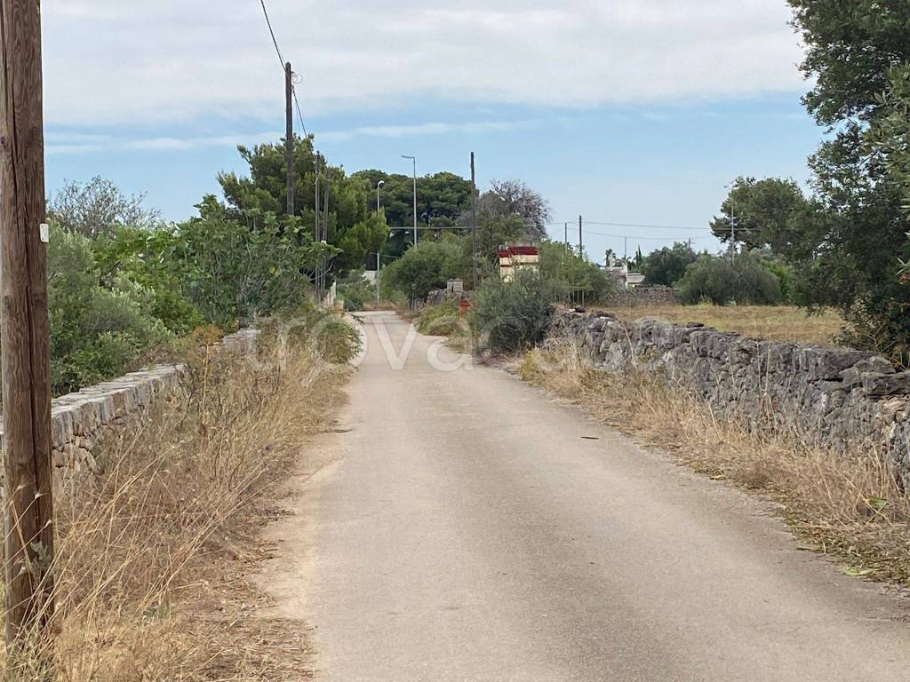 immagine annuncio 6 di 7
