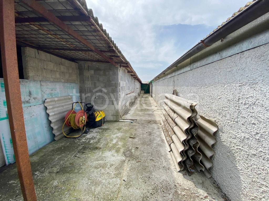 immagine annuncio 5 di 15