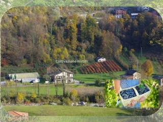 Terreno agricolo in affitto a ceres regione molino, 4