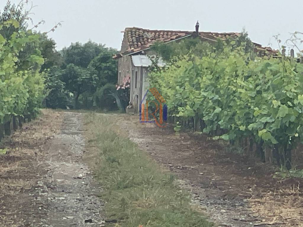 Terreno Agricolo in vendita a Lamezia Terme via Raoul Morelli