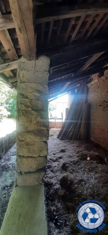 immagine annuncio 4 di 6