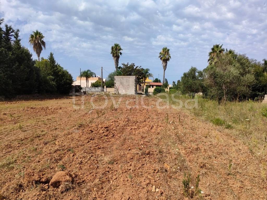 immagine annuncio 5 di 7