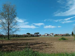 Terreno agricolo in affitto a cascina via delle poggere