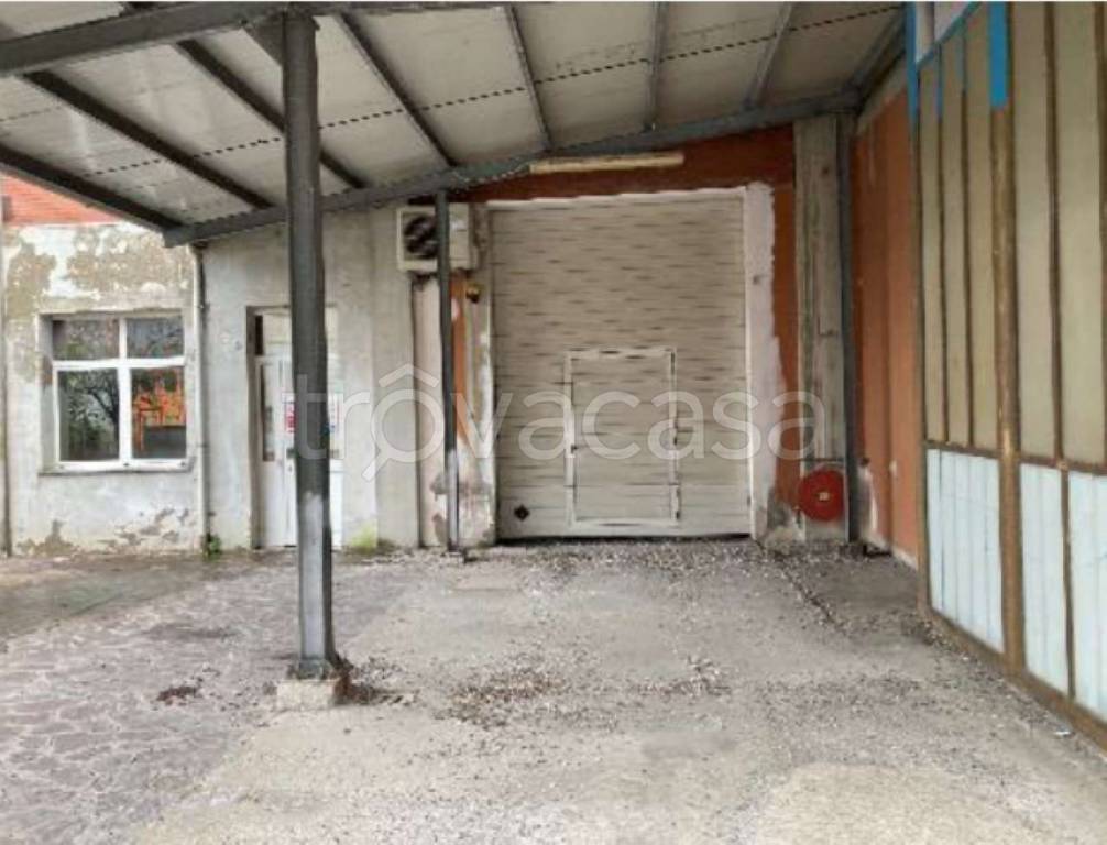 immagine annuncio 5 di 8