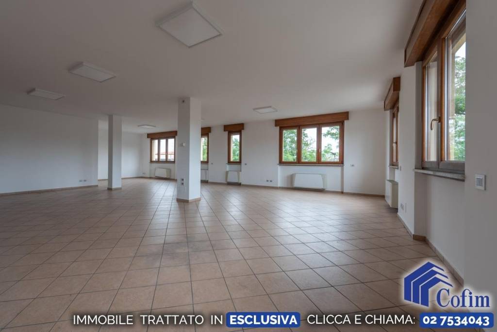 immagine annuncio 5 di 14