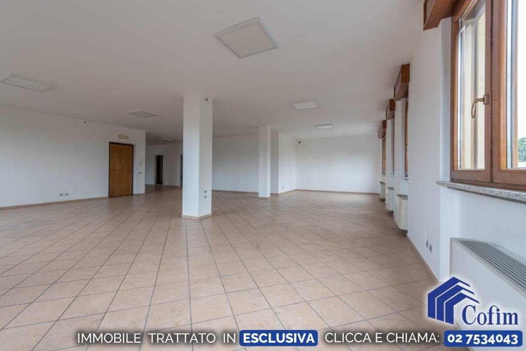 immagine annuncio 12 di 14
