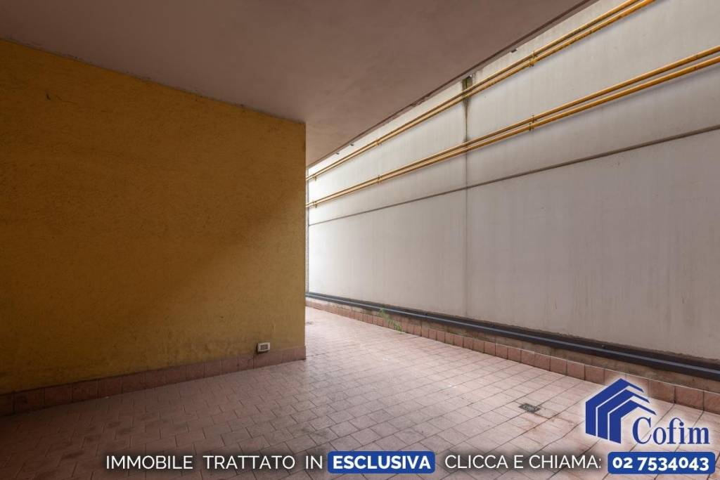 immagine annuncio 2 di 14