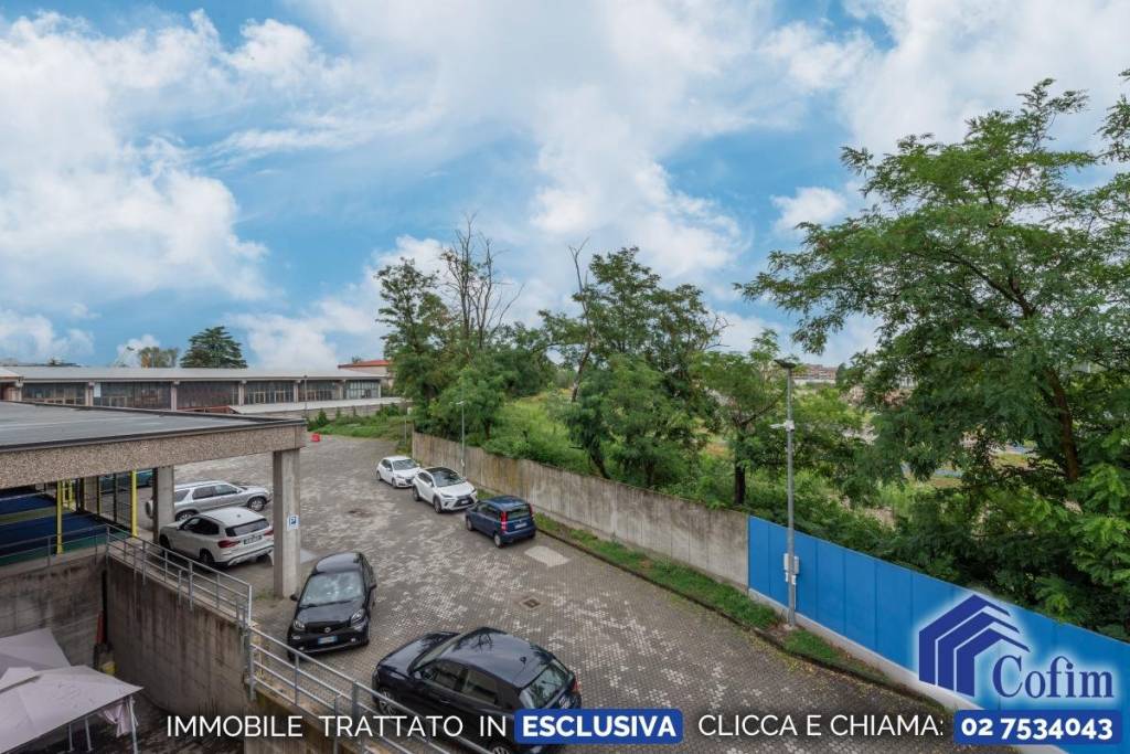 immagine annuncio 1 di 14