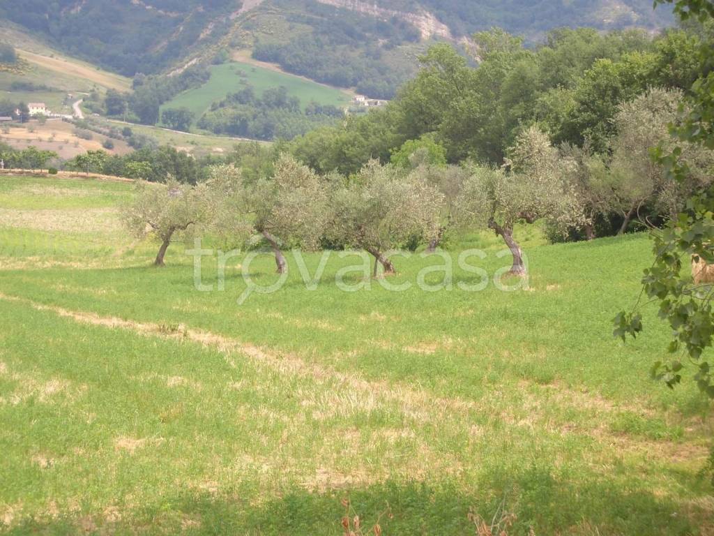Terreno Residenziale in vendita a Castiglione Messer Raimondo strada Provinciale di Bisenti