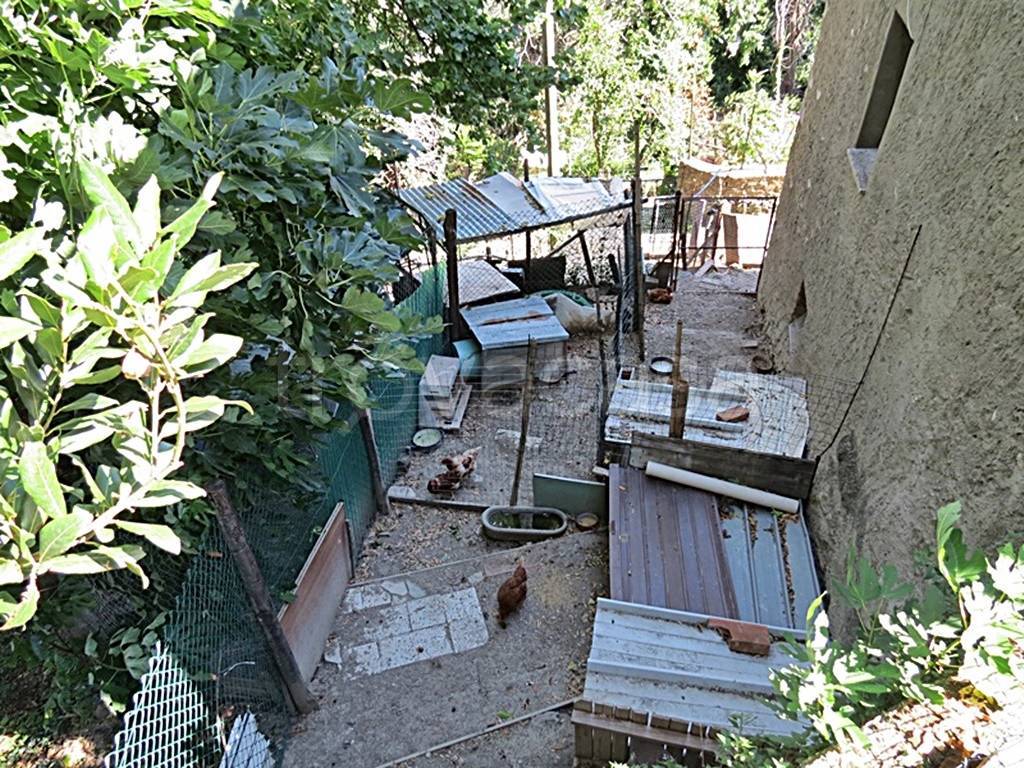 immagine annuncio 9 di 13