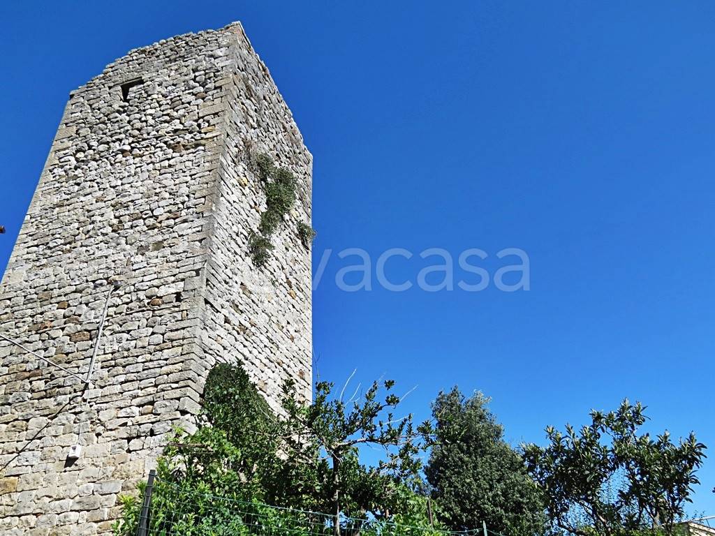 immagine annuncio 11 di 13