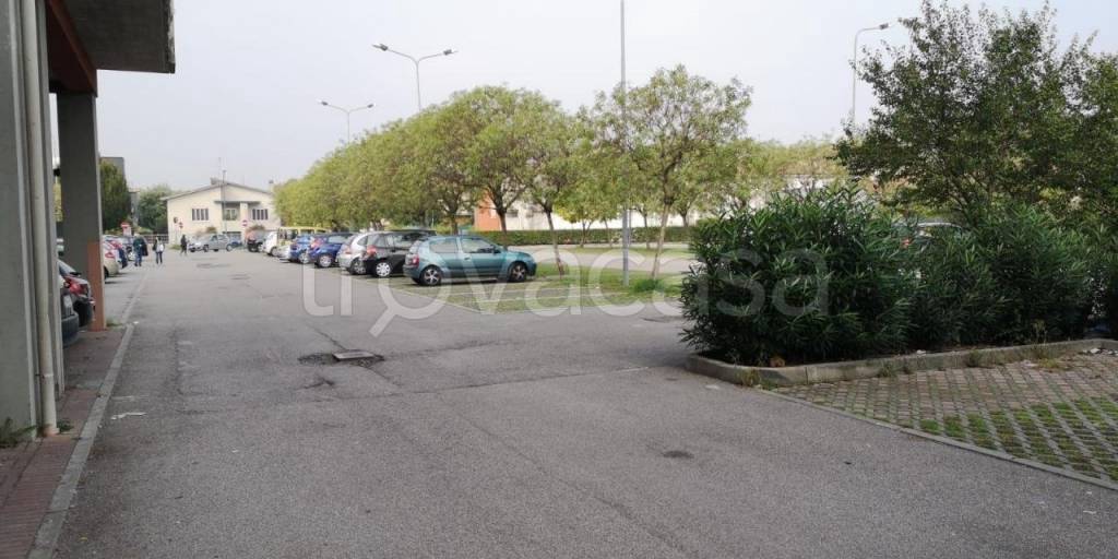 immagine annuncio 7 di 8