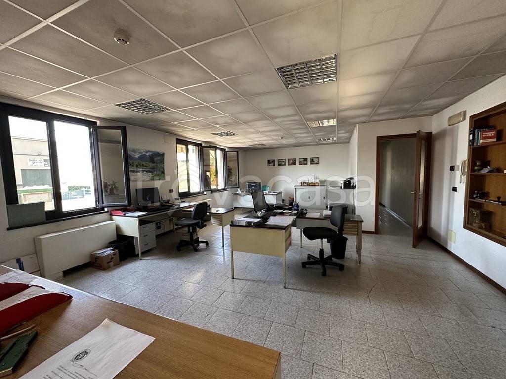 immagine annuncio 4 di 7