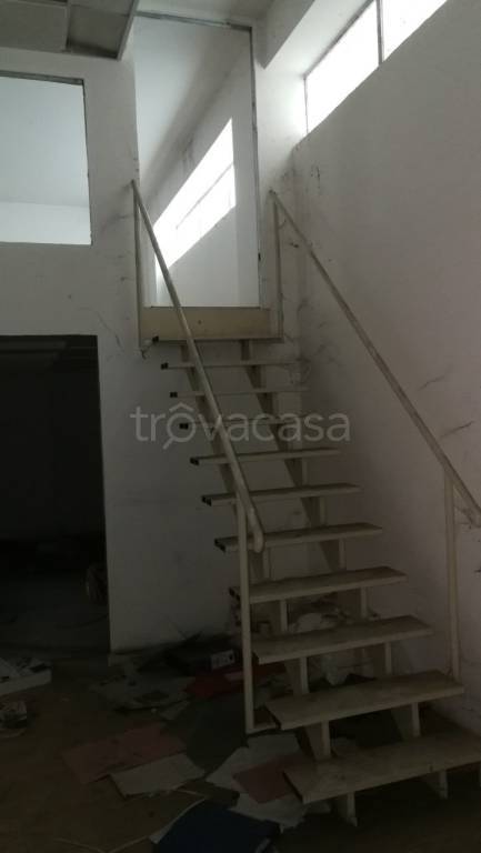 immagine annuncio 11 di 14