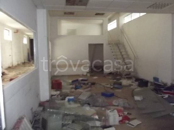 immagine annuncio 12 di 14