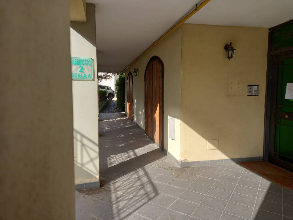 immagine annuncio 3 di 13