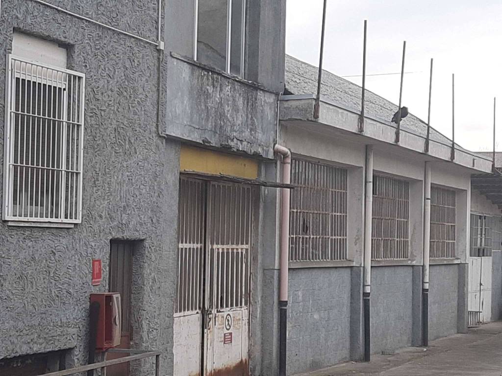 immagine annuncio 4 di 10