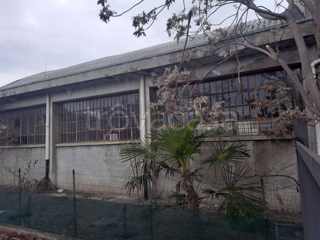 immagine annuncio 8 di 10