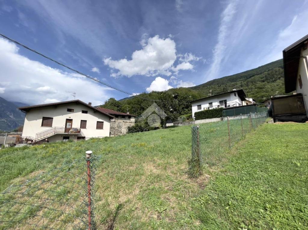 immagine annuncio 1 di 12