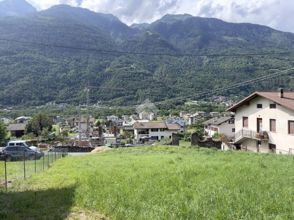 immagine annuncio 3 di 12