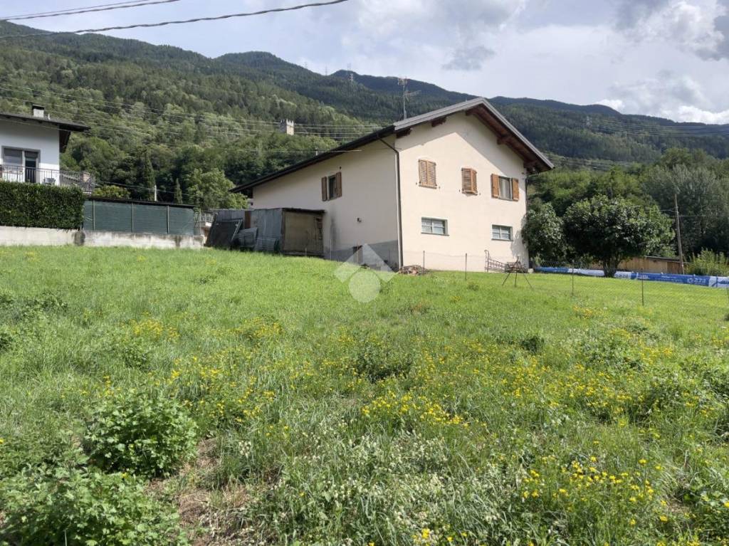 immagine annuncio 4 di 12