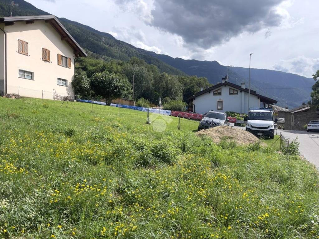 immagine annuncio 7 di 12
