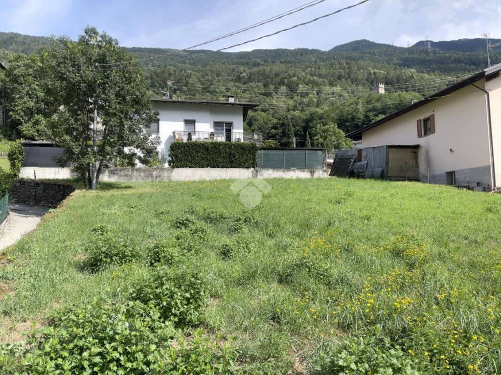 immagine annuncio 9 di 12