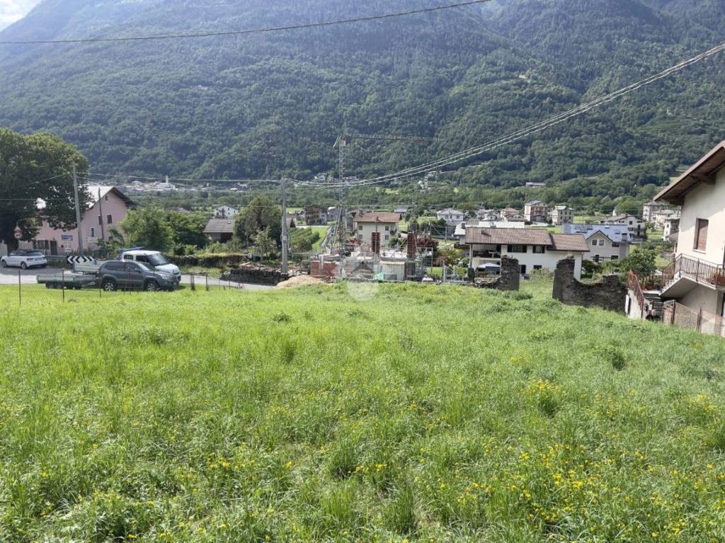 immagine annuncio 10 di 12
