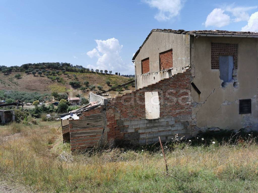 immagine annuncio 3 di 6