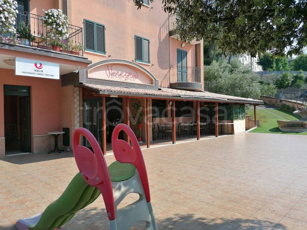 immagine annuncio 6 di 11