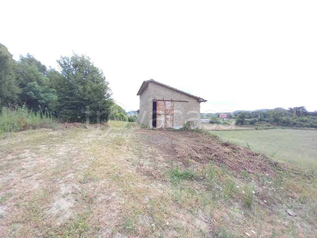 immagine annuncio 7 di 11