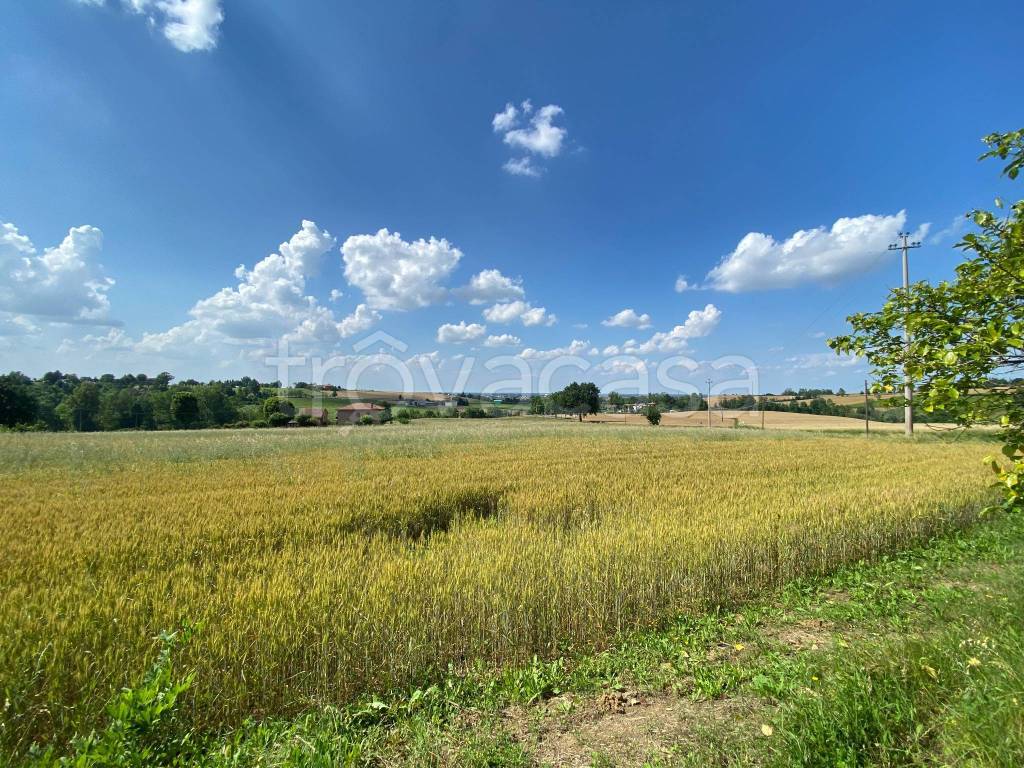Terreno Agricolo in vendita a Valsamoggia via Motta, 5