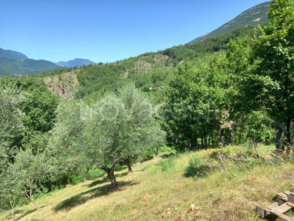 Terreno Agricolo in vendita a Civita d'Antino via del Pero