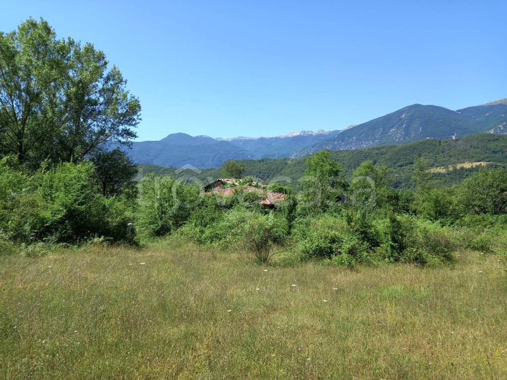 immagine annuncio 1 di 11