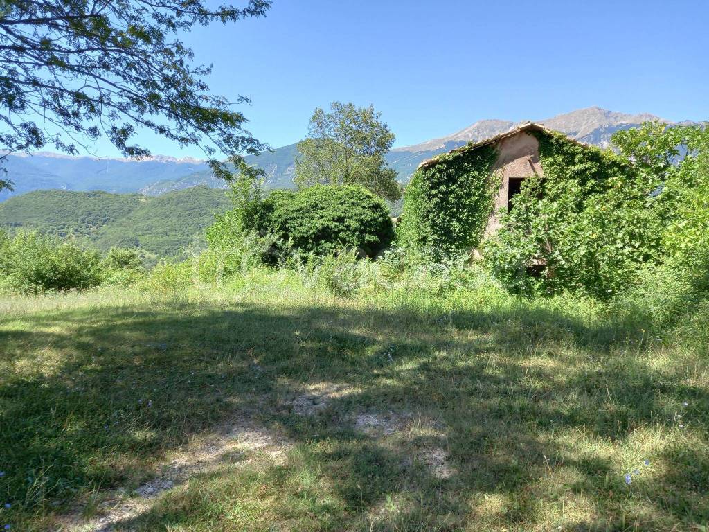 immagine annuncio 5 di 11