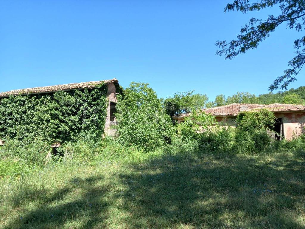 immagine annuncio 6 di 11