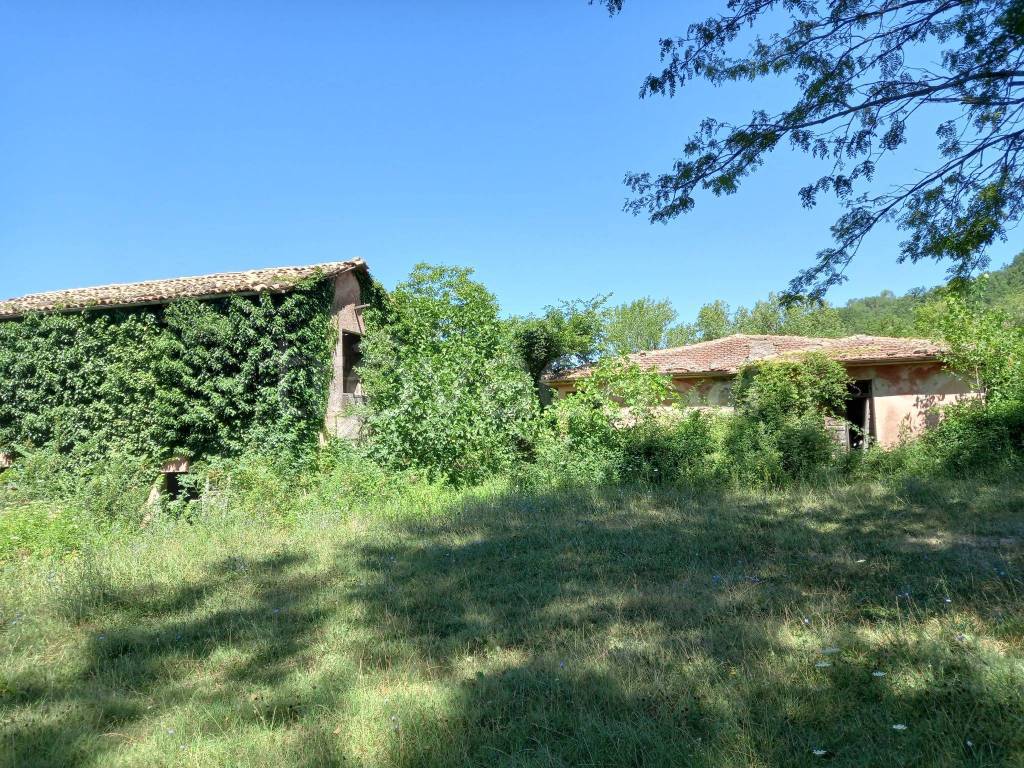 immagine annuncio 7 di 11