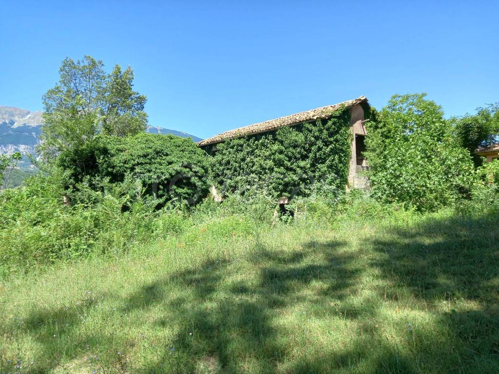 immagine annuncio 8 di 11
