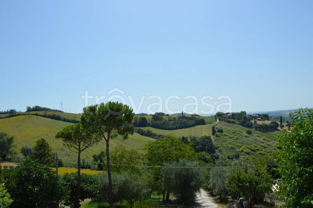 immagine annuncio 8 di 9