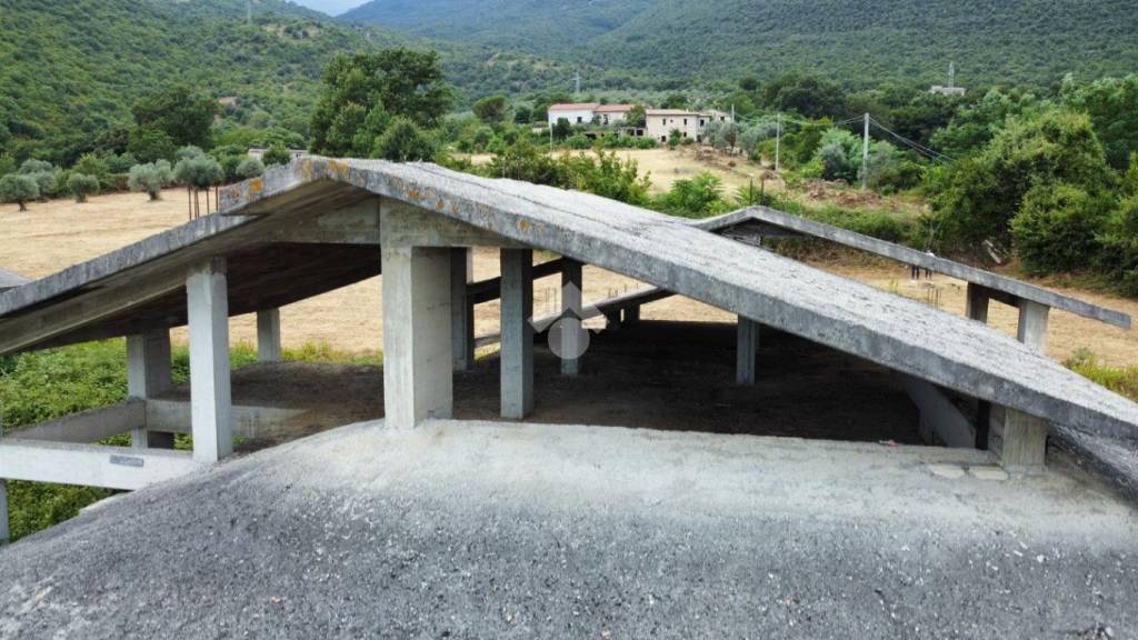 immagine annuncio 5 di 14