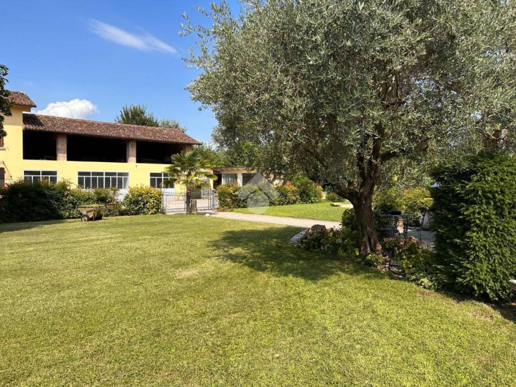 immagine annuncio 11 di 15