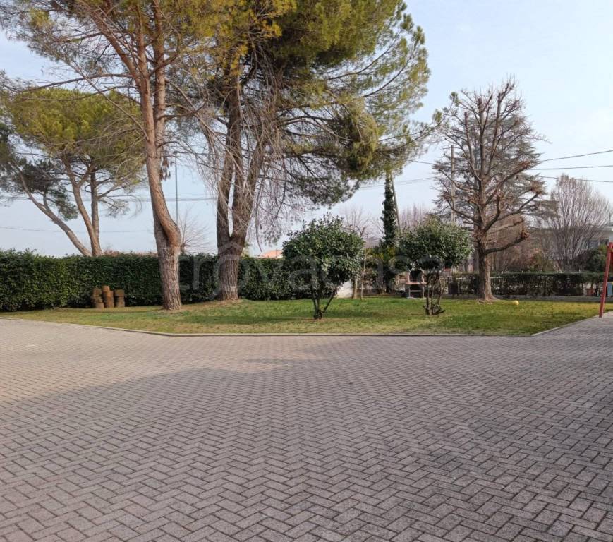 immagine annuncio 12 di 13