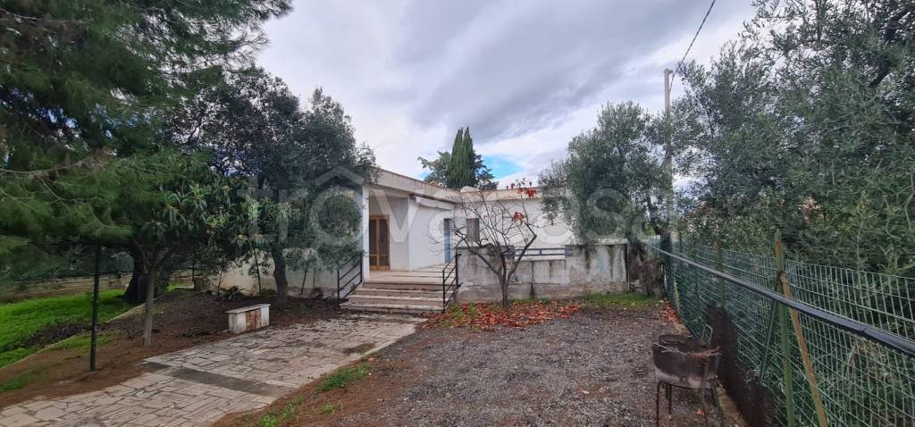 Villa in vendita a Trani strada Vicinale Moschetto